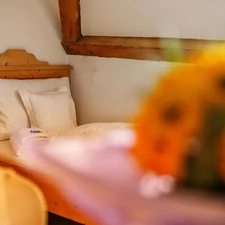 Pensjonat Zentrum Fuer Umwelt Und Kultur - Gaestehaus Und Jugendbildungseinrichtung Im Maierhof *