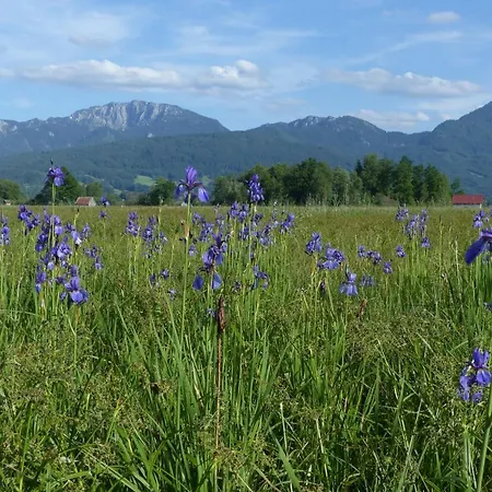 Pensión Zentrum Für Umwelt Und Kultur - Und Jugendbildungseinrichtung Im Maierhof