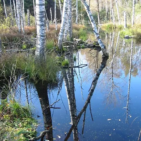 Pensionat Zentrum Fuer Umwelt Und Kultur - Gaestehaus Und Jugendbildungseinrichtung Im Maierhof