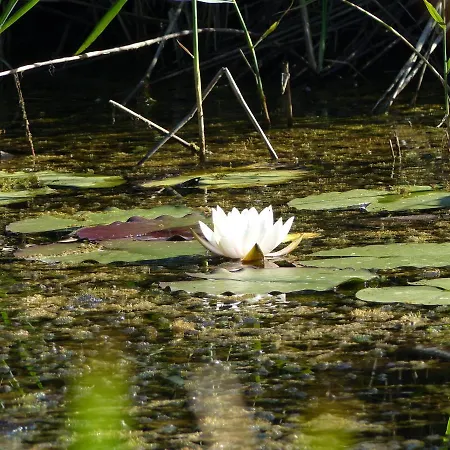 Pensionat Zentrum Fuer Umwelt Und Kultur - Gaestehaus Und Jugendbildungseinrichtung Im Maierhof *